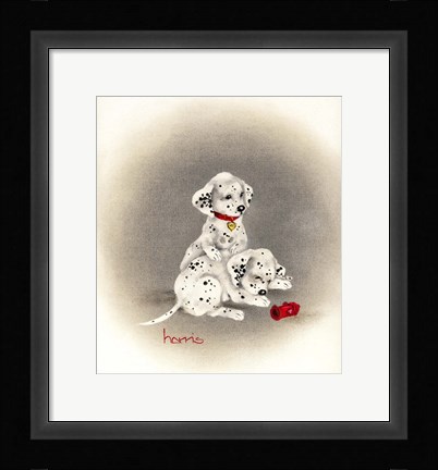 Framed Dalmation 2 - Curiosity Print