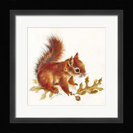 Framed Red Squirrel Print