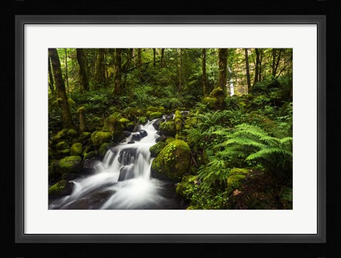 Framed Moment In Nature Print