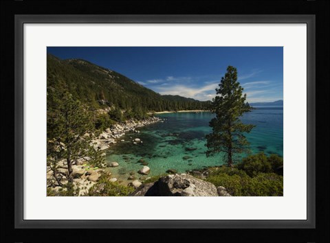 Framed Nature Walk Print