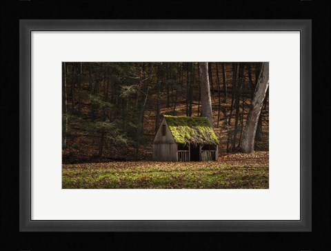 Framed Rustic Glow Print
