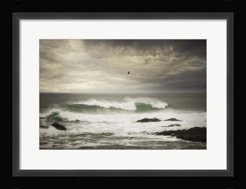 Framed Flight Print