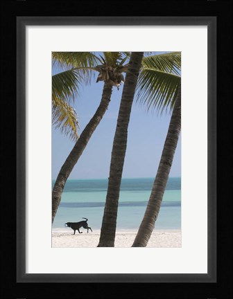 Framed Dog Beach Print