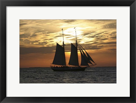 Framed Golden Liberty Print