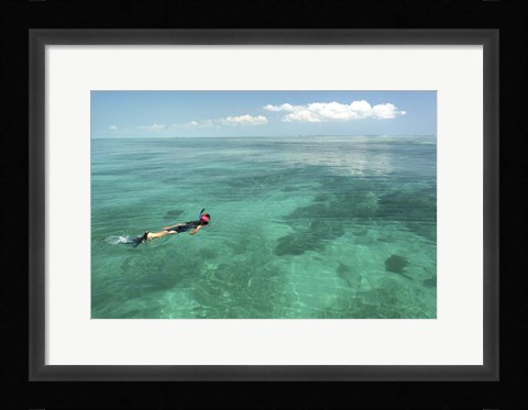 Framed Snorkeler Print
