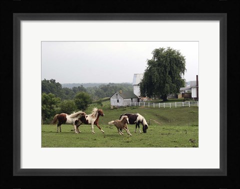 Framed Winesberg Ohio Print