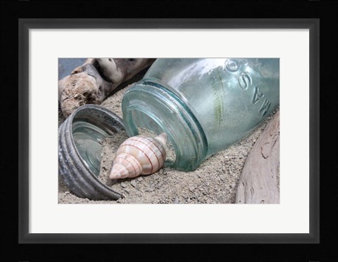 Framed One Shell Mason Jar Print
