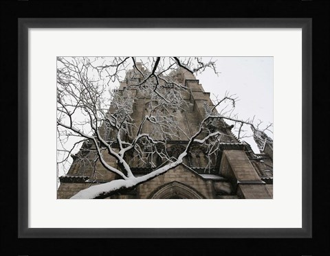 Framed Branch Snow Cathedral 9688 Print