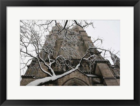 Framed Branch Snow Cathedral 9688 Print