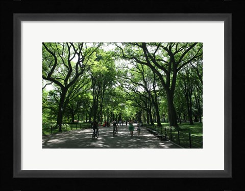 Framed Central Park Mall Summer Print