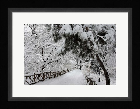 Framed Central Park Path Deep Snow Print