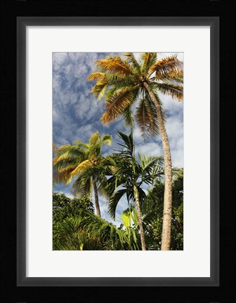 Framed Palms Sky Vertical Print