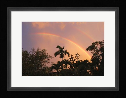 Framed Rainbow Palms Print