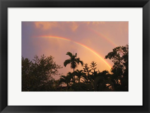 Framed Rainbow Palms Print