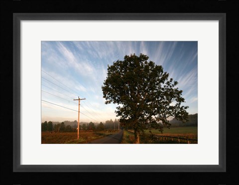 Framed Tree Pole Road Sky 3329 Print