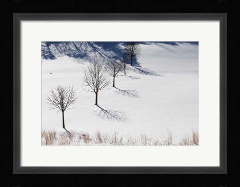 Framed Winter Field Silhouettes Print