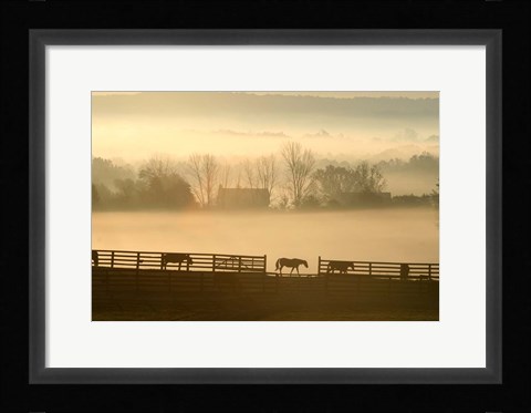 Framed Blue Chip Horse Farm Golden Morning Print