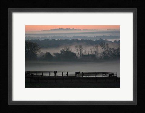 Framed Horse Farm Rose Dawn Print
