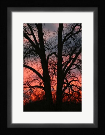 Framed November Sunset Vertical Print