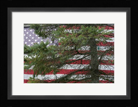 Framed Pine Flag Barn Print