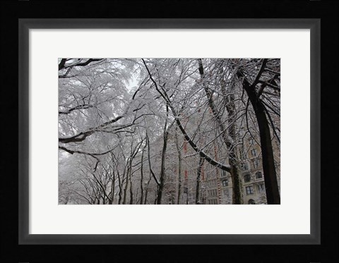 Framed Snow Covered Trees Apartments Print