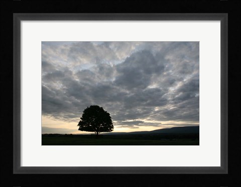 Framed Sunset Silhouette Tree Print