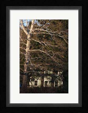 Framed Sycamore House Vertical Print