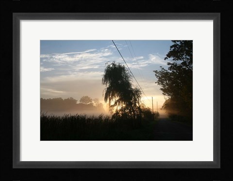 Framed Willows Morning Road Print