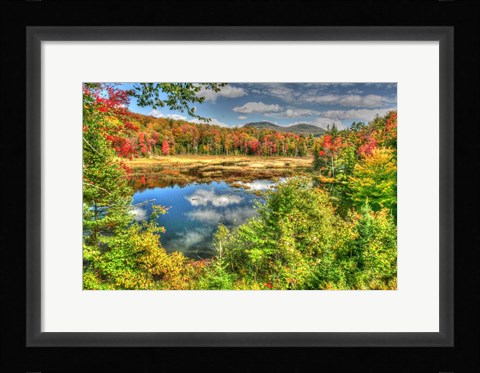 Framed Adirondack Pond Print