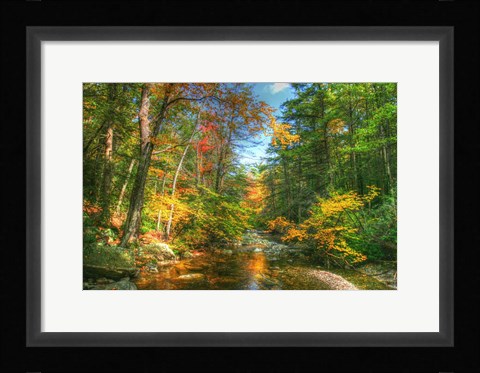 Framed Autumn Brook Print