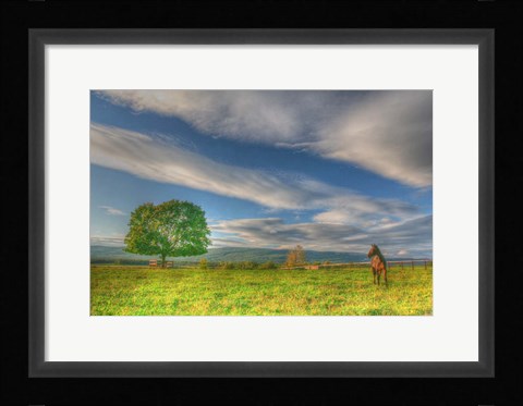 Framed Big Sky Paddock Print