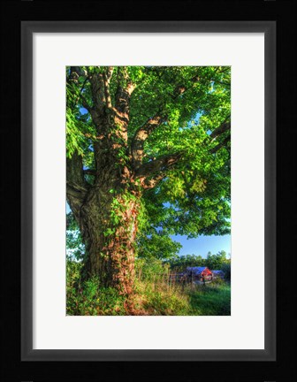 Framed Butterville Road Vertical Print
