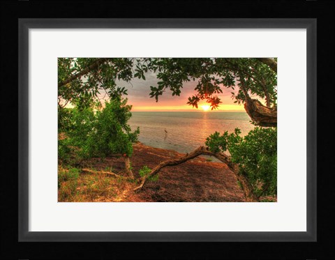 Framed Dawn Egret Print