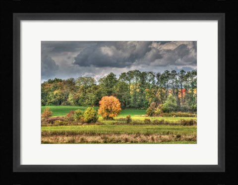 Framed Drak Sky Shiningtree Print