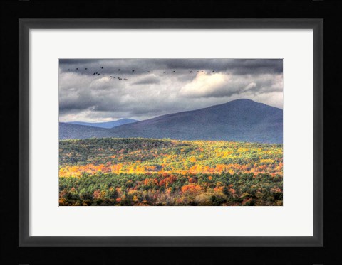 Framed Flying South Print