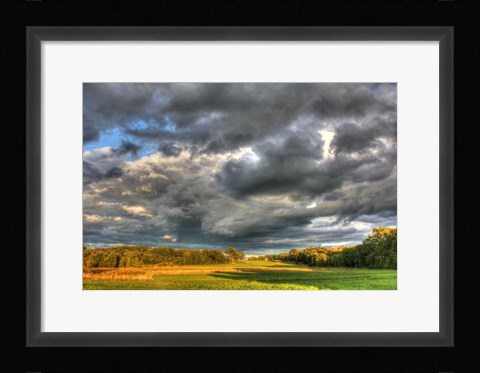 Framed Front Forty Print