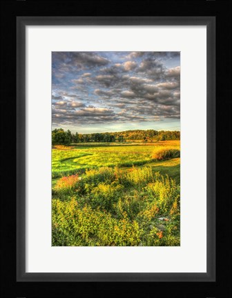 Framed Garden Views Print