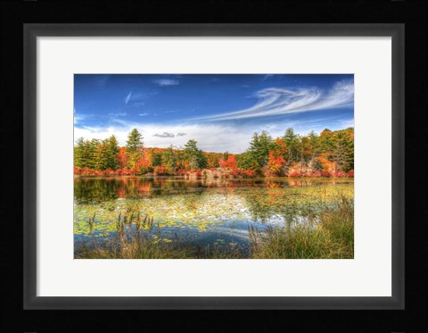 Framed Harriman Pond Print