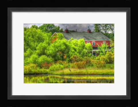 Framed Heron Haven Print