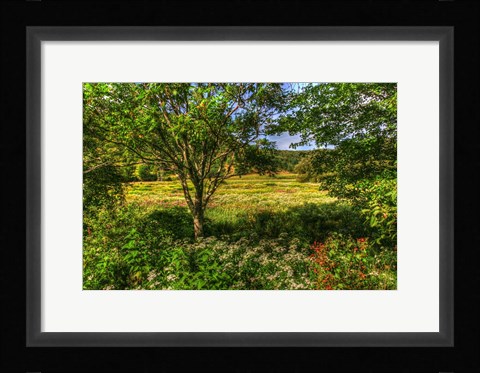 Framed Hobart Meadow Print