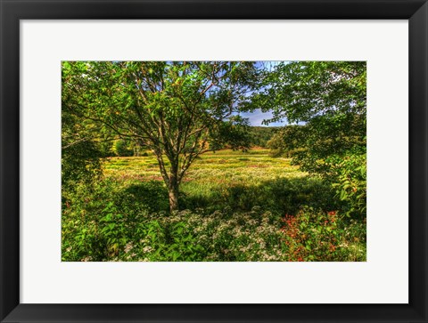 Framed Hobart Meadow Print