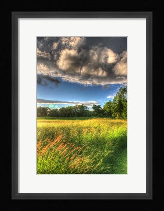 Framed Late Afternoon Field Print