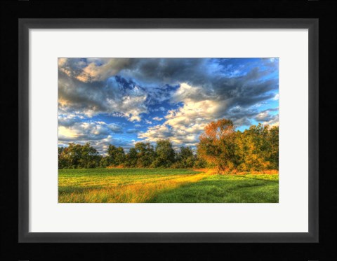 Framed Late Summer Light Print