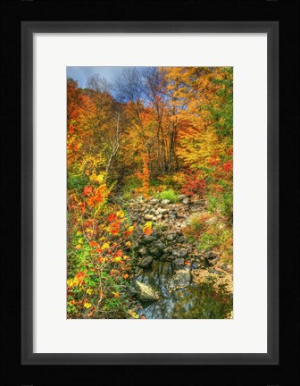 Framed Low Water Brook Autumn Print