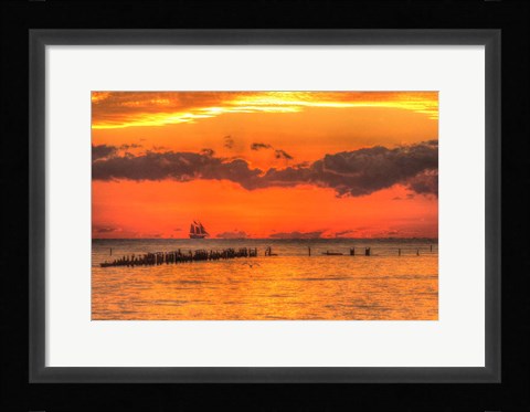 Framed Old Pier And Gull After Sunset Print