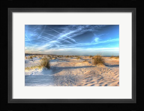Framed Two Color Florida Sand Print