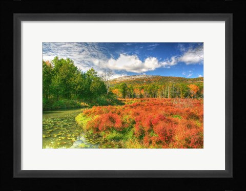 Framed Whitecliffs Print