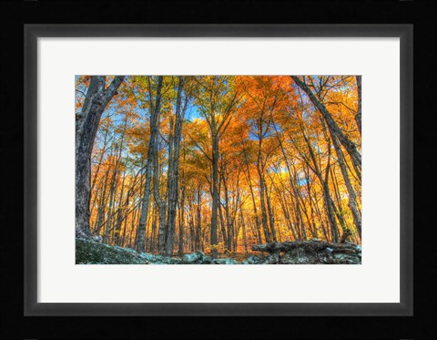 Framed Winding Hills Park Print