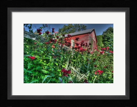 Framed Barn And Minarda 3 Print