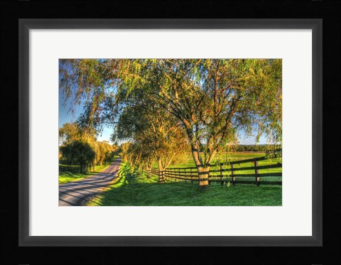 Framed BC Willow Road Print